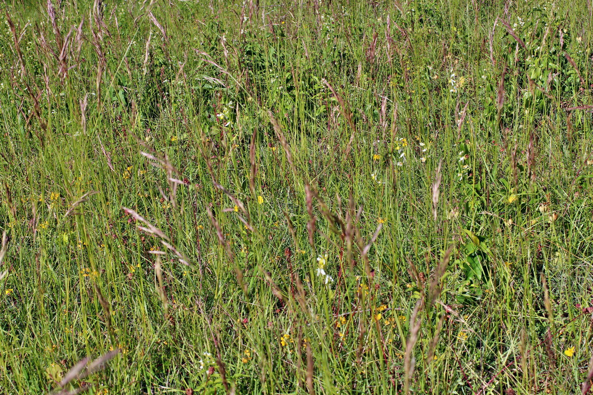 2014_06_05_00045596p_Bildgr��e �ndern