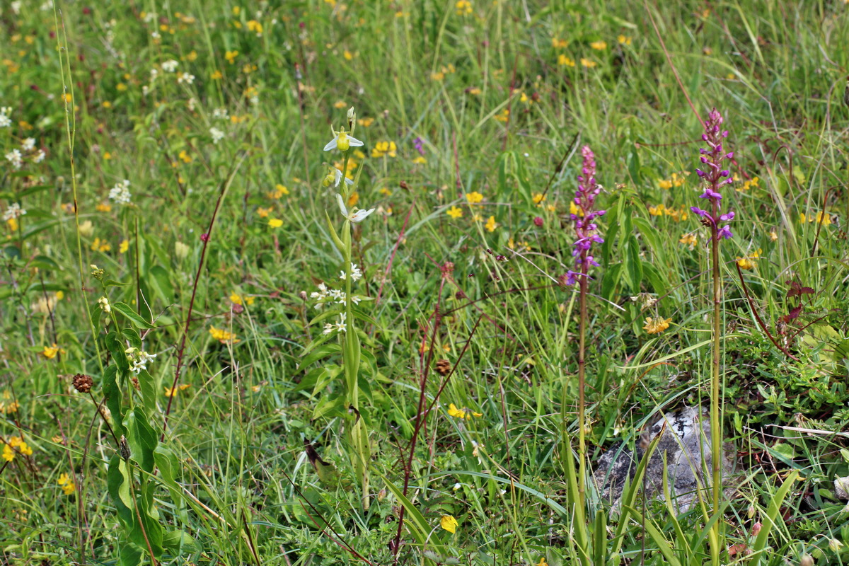 2014_06_05_00045602p_Bildgr��e �ndern