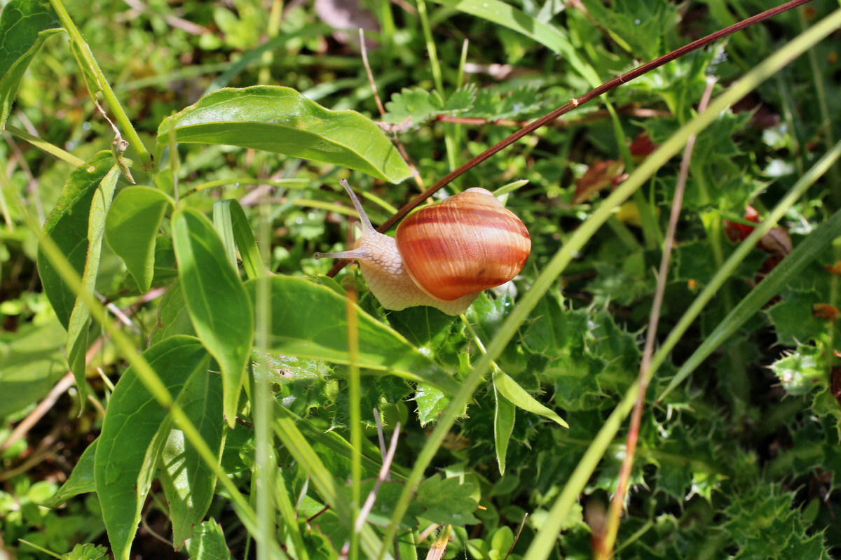 2014_06_05_00045605p_Bildgr��e �ndern