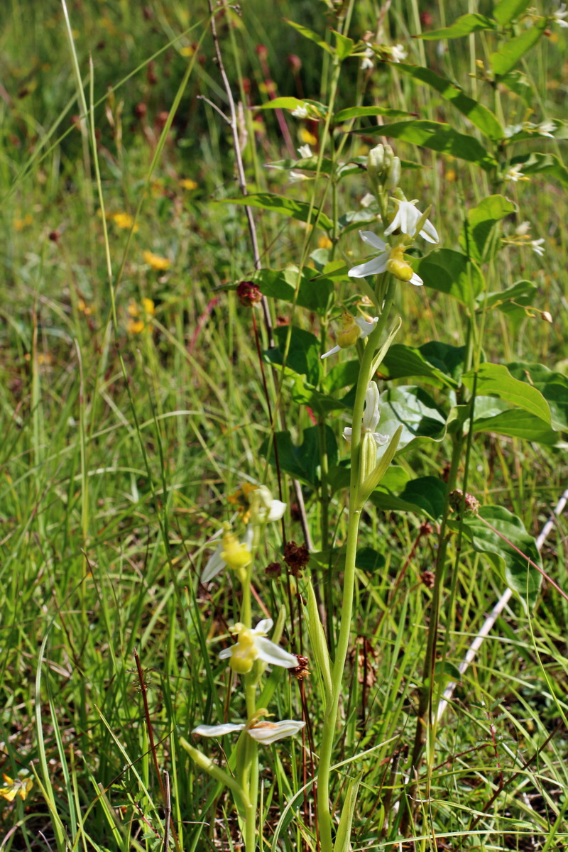 2014_06_05_00045615p_Bildgr��e �ndern