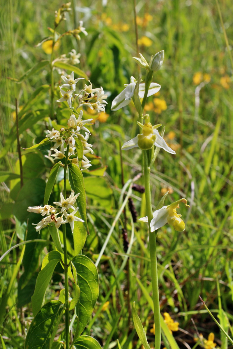 2014_06_05_00045628p_Bildgr��e �ndern