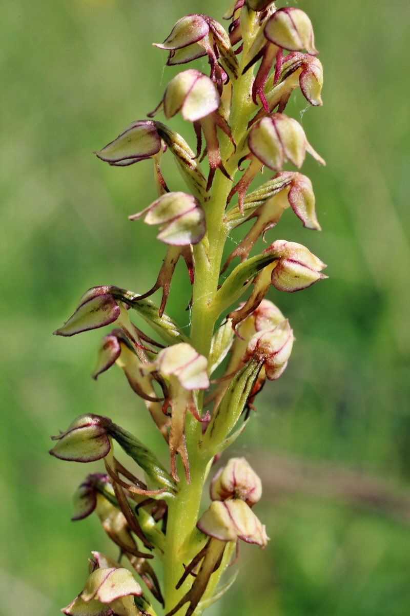 2014_06_05_00045631p_Bildgr��e �ndern