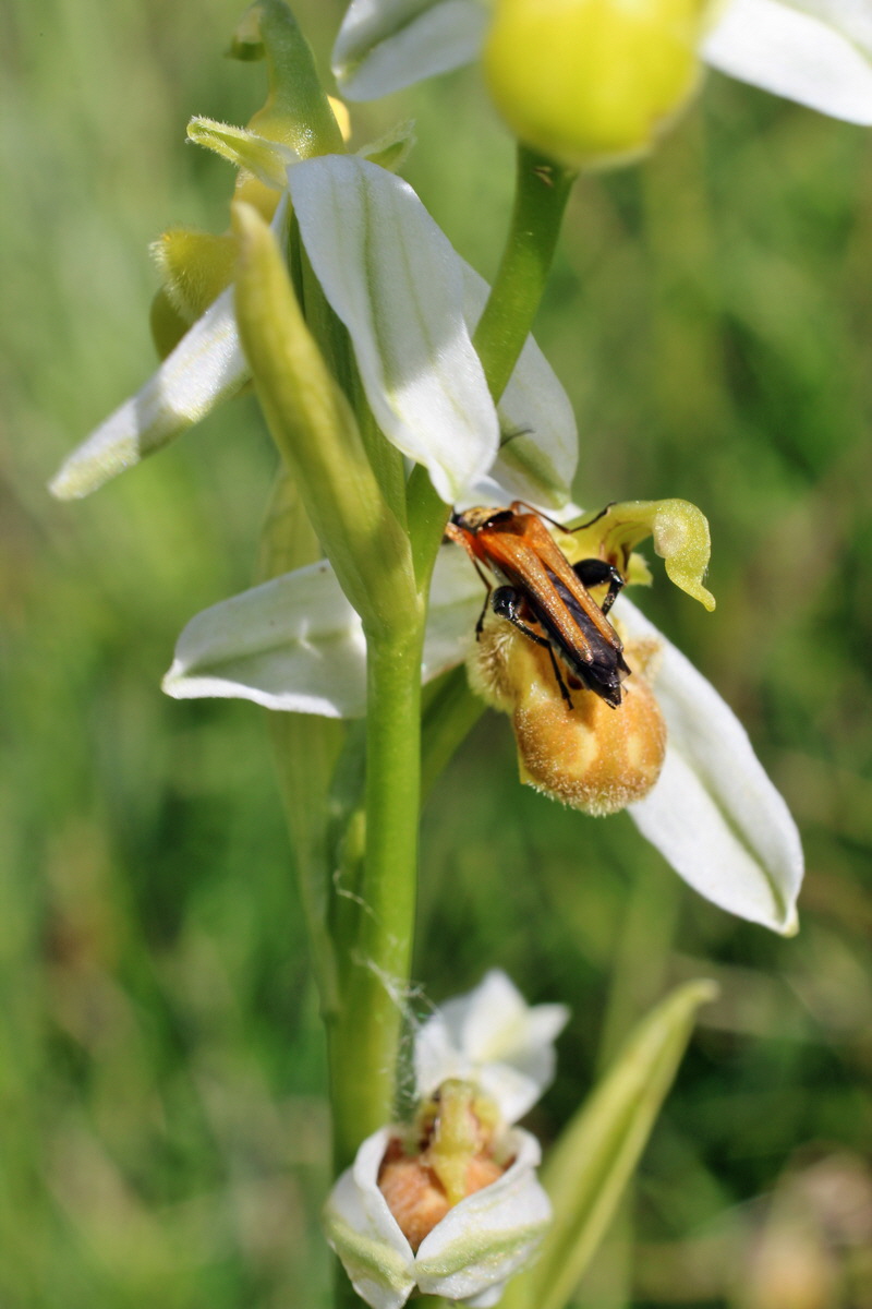 2014_06_05_00045639p_Bildgr��e �ndern