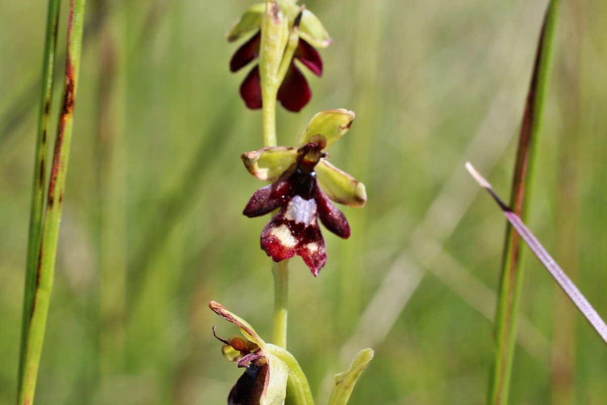 2014_06_05_00045654p_Bildgr��e �ndern