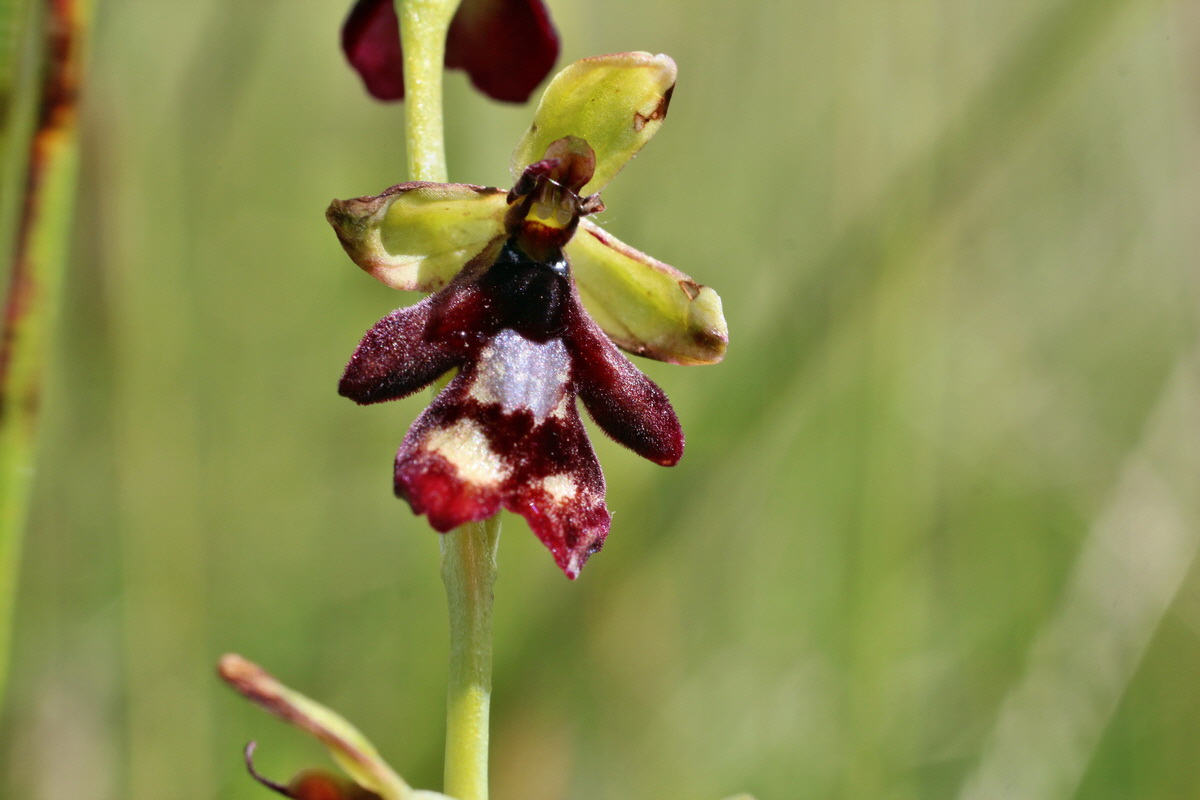 2014_06_05_00045659p_Bildgr��e �ndern