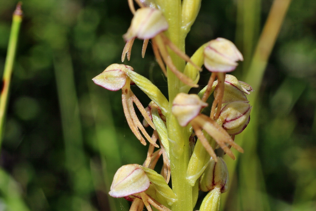 2014_06_05_00045683p_Bildgr��e �ndern