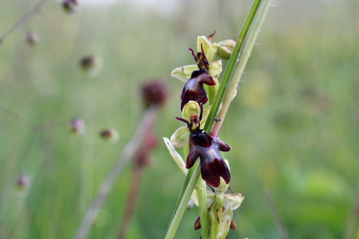 2014_06_05_00045694p_Bildgr��e �ndern