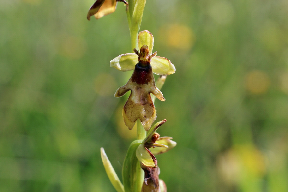 2014_06_05_00045699p_Bildgr��e �ndern