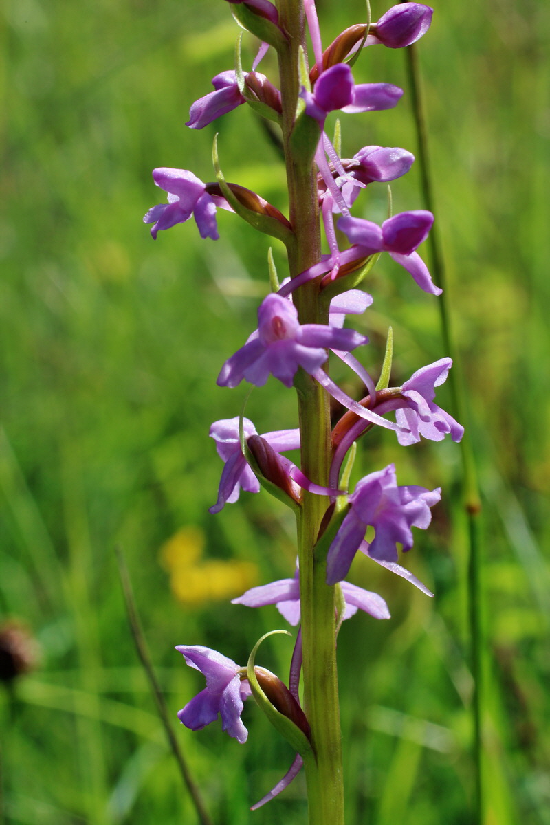 2014_06_05_00045704p_Bildgr��e �ndern