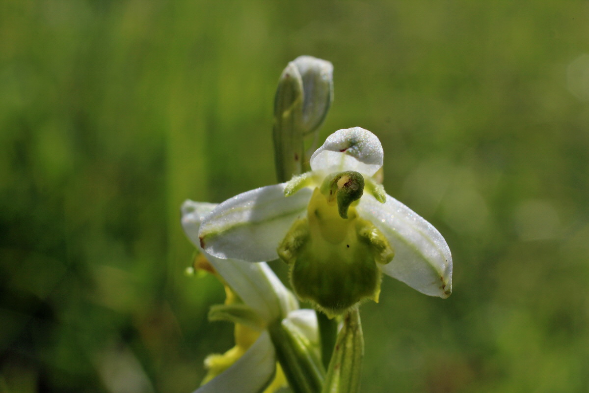 2014_06_05_00045728p_Bildgr��e �ndern