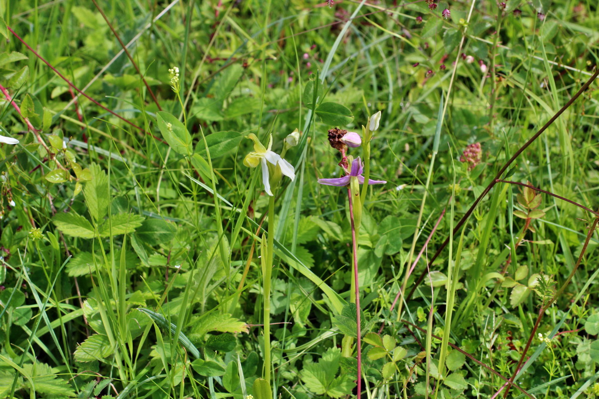 2014_06_05_00045737p_Bildgr��e �ndern