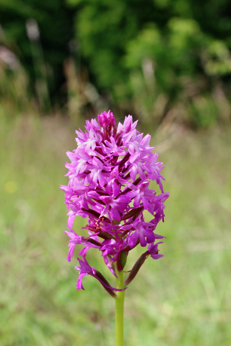 2014_06_05_00045744p_Bildgr��e �ndern