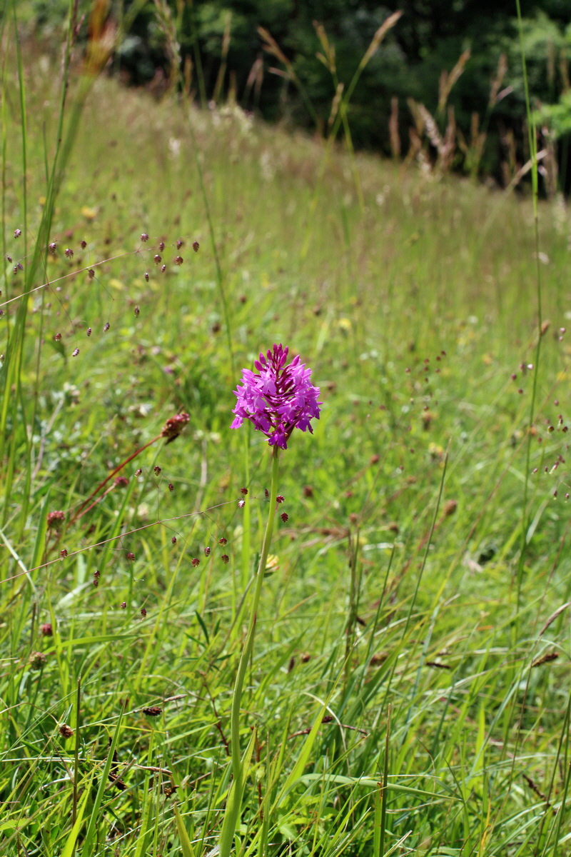 2014_06_05_00045747p_Bildgr��e �ndern