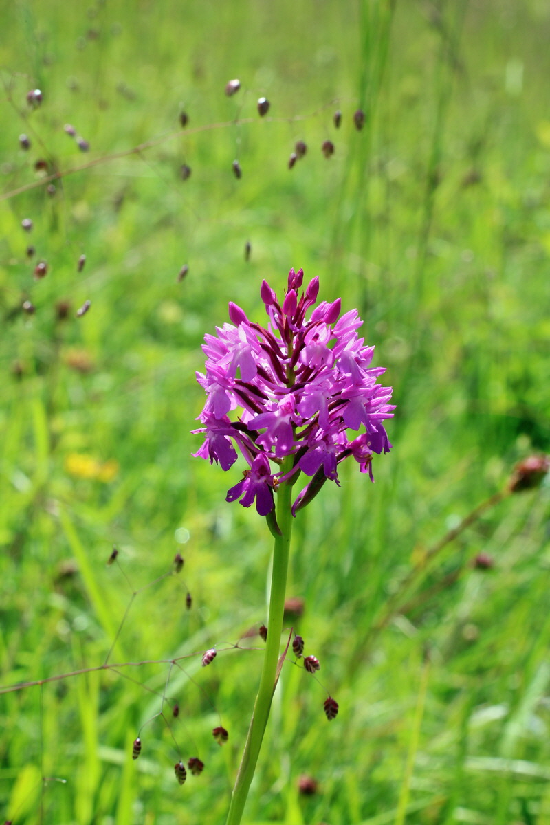 2014_06_05_00045752p_Bildgr��e �ndern