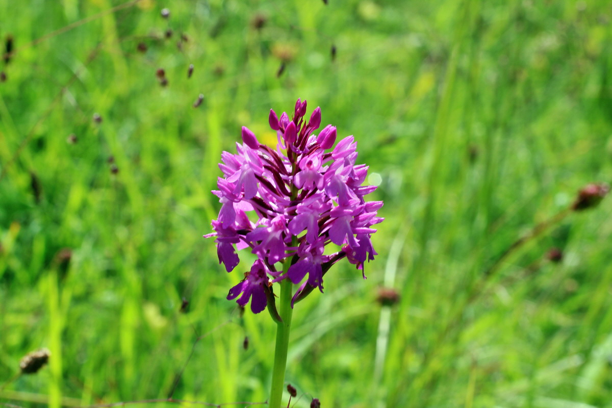 2014_06_05_00045755p_Bildgr��e �ndern