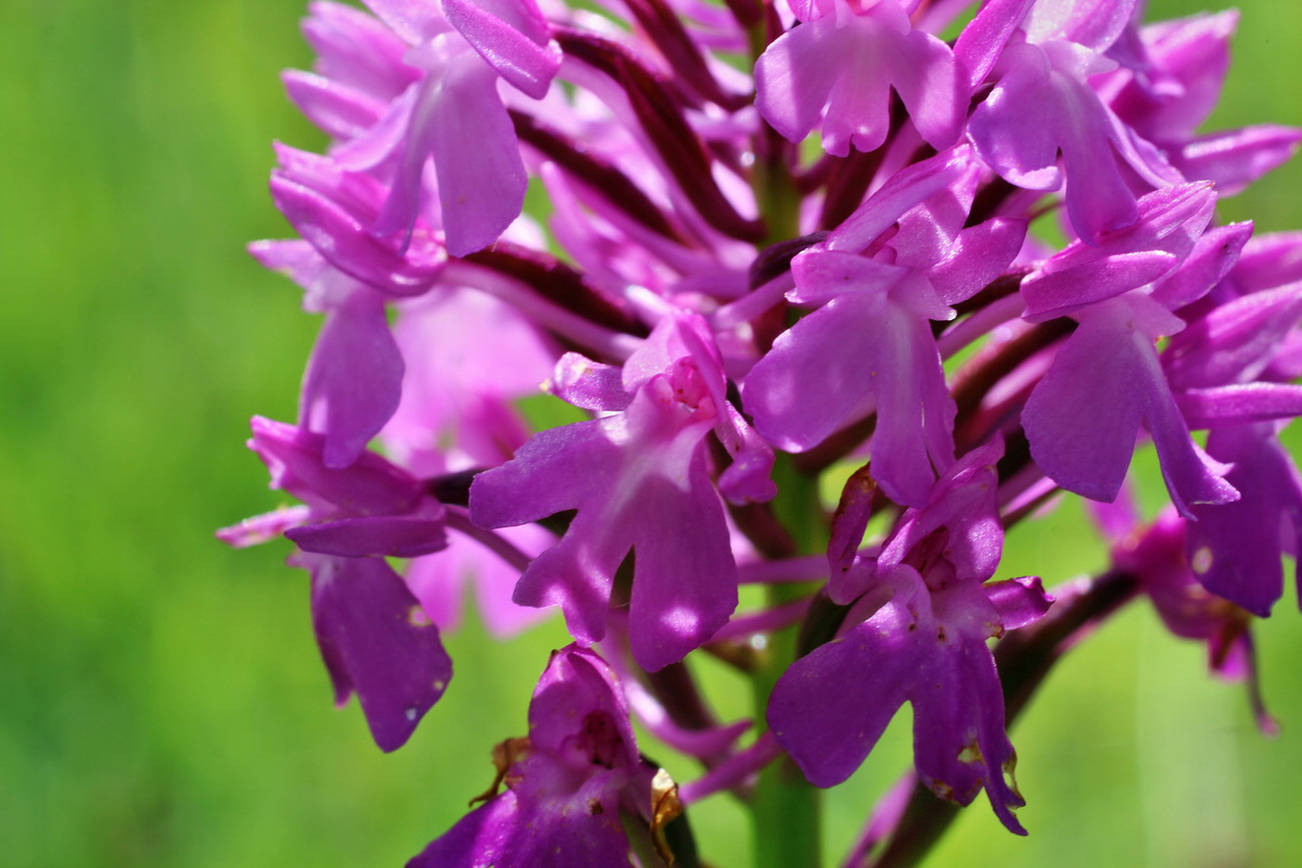 2014_06_05_00045756p_Bildgr��e �ndern