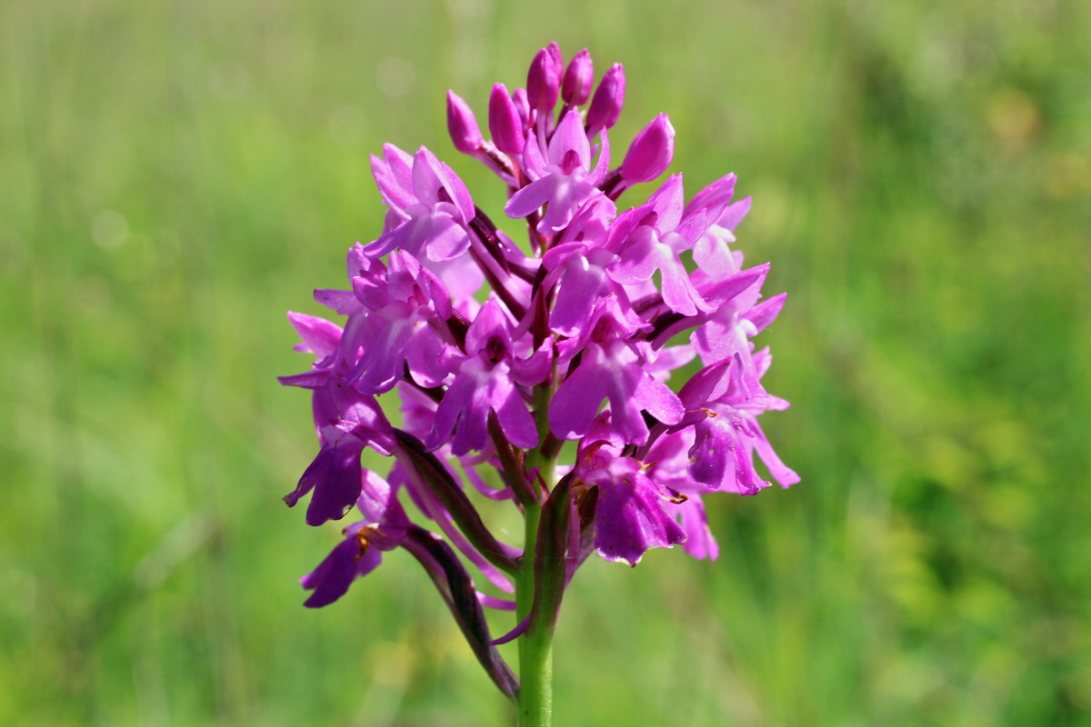 2014_06_05_00045766p_Bildgr��e �ndern