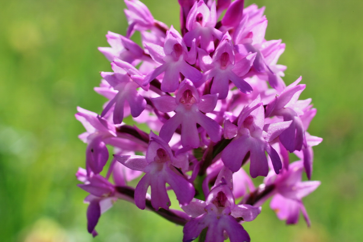 2014_06_05_00045772p_Bildgr��e �ndern