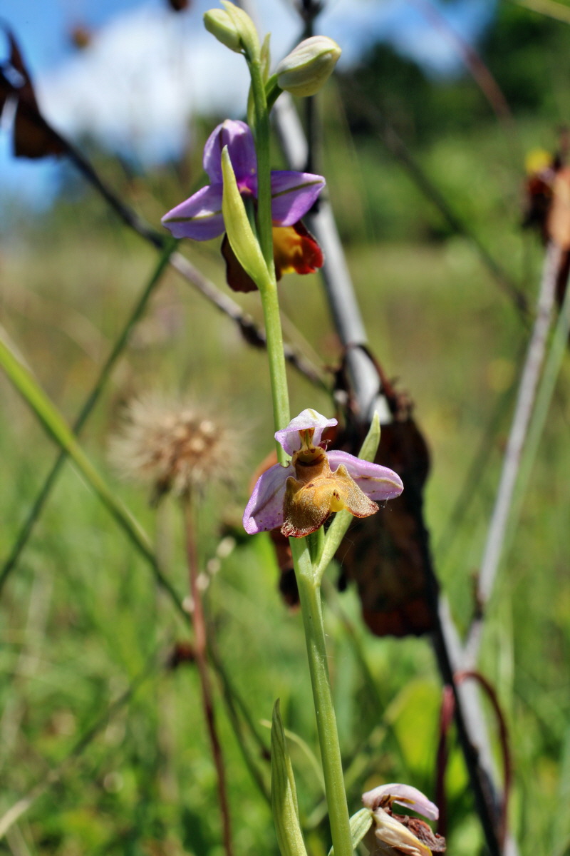 2014_06_05_00045810p_Bildgr��e �ndern