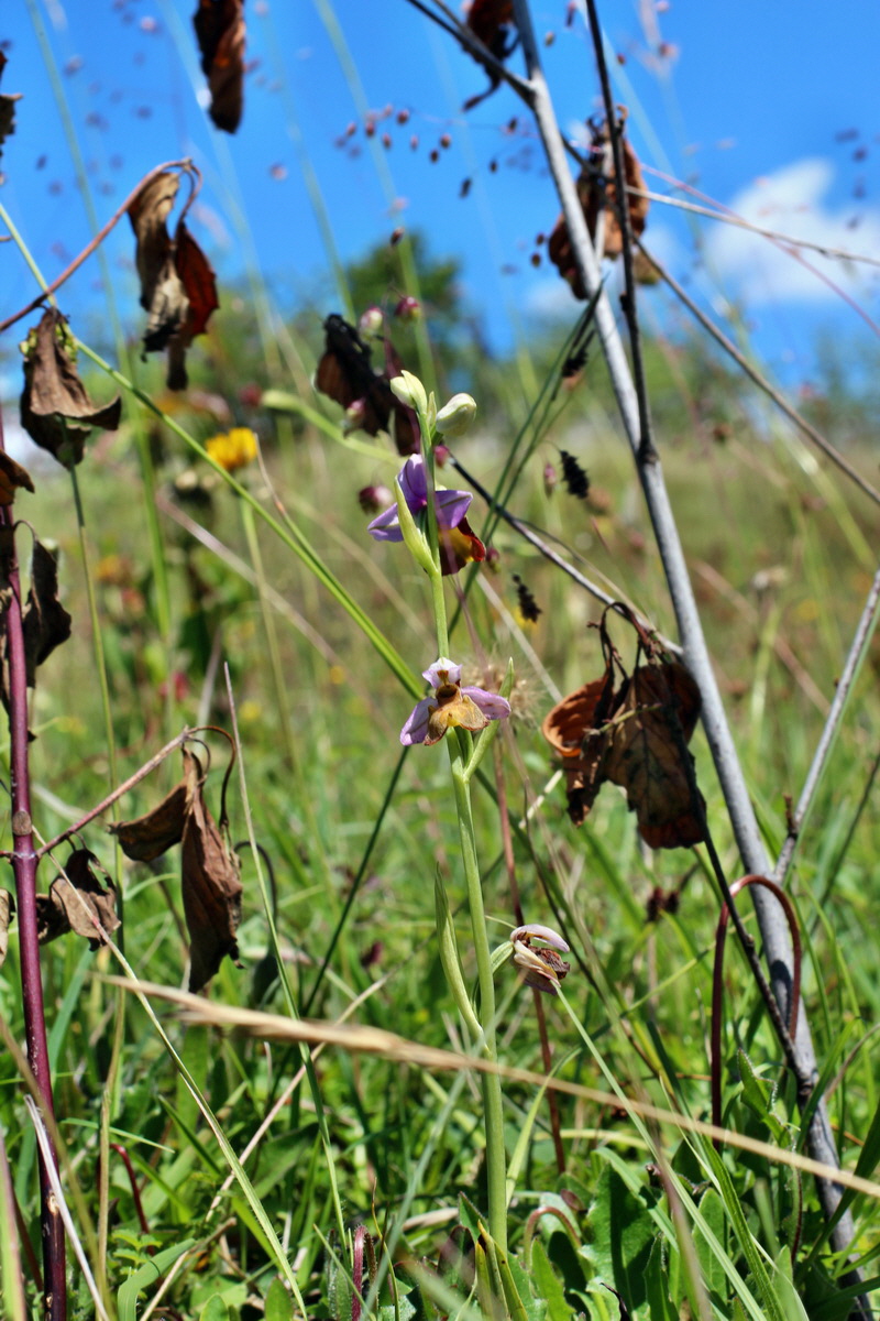 2014_06_05_00045814p_Bildgr��e �ndern