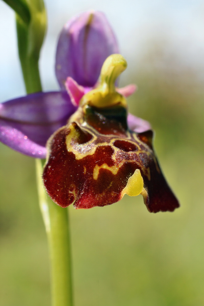 2014_06_05_00045817p_Bildgr��e �ndern