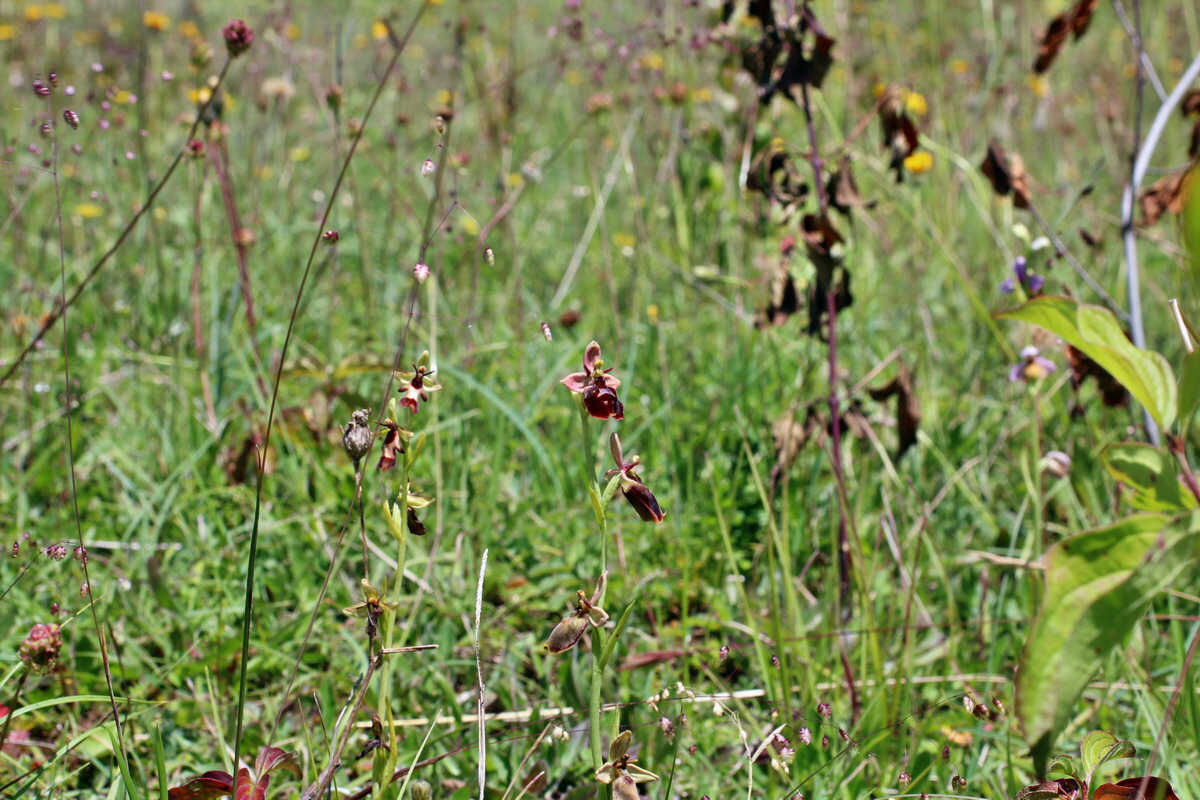 2014_06_05_00045835p_Bildgr��e �ndern