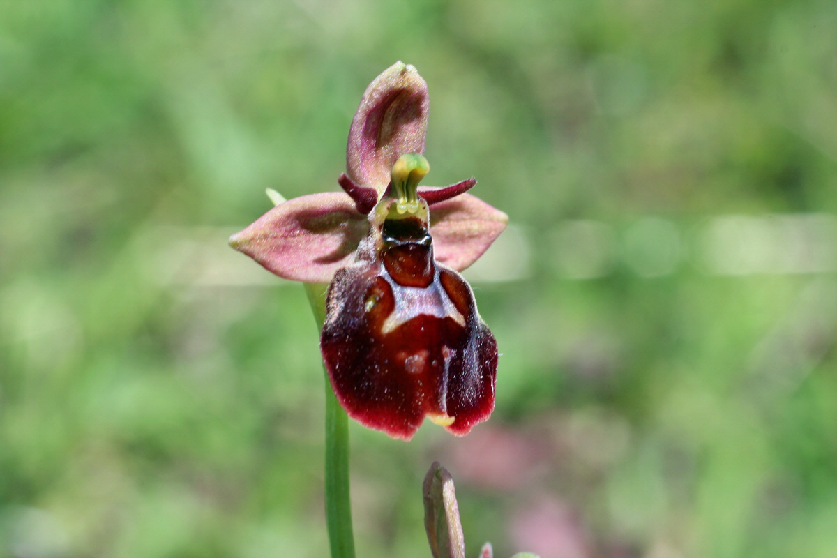 2014_06_05_00045840p_Bildgr��e �ndern