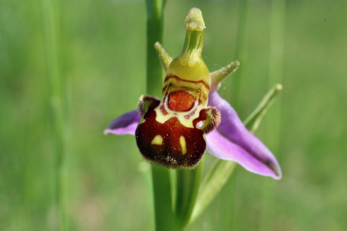 2014_06_09_00045867p_Bildgr��e �ndern