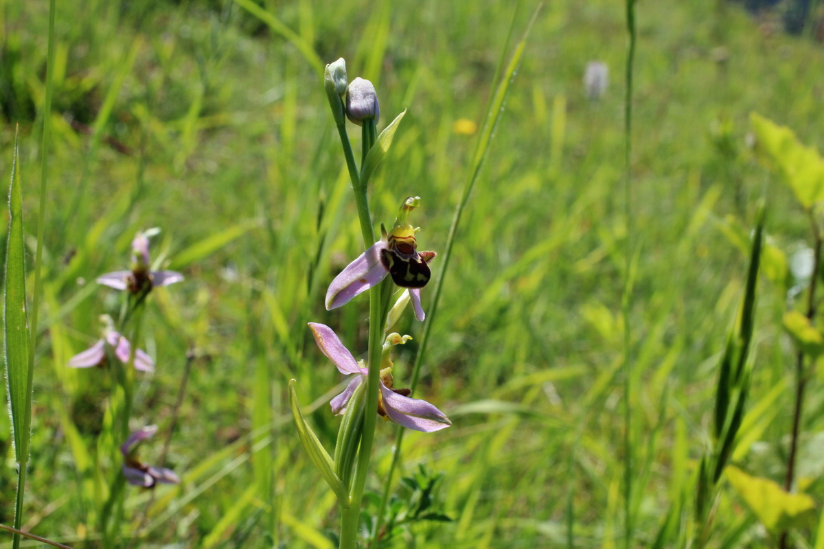 2014_06_09_00045872p_Bildgr��e �ndern