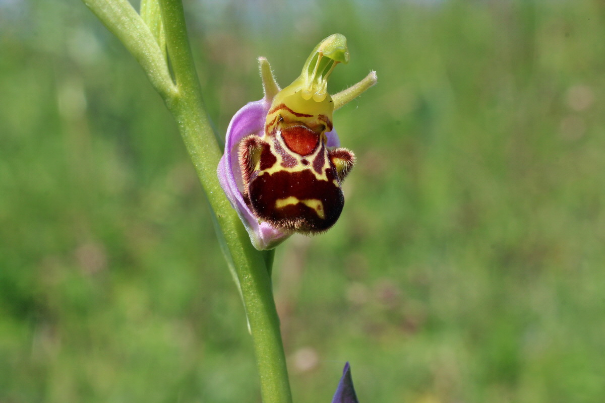 2014_06_09_00045876p_Bildgr��e �ndern