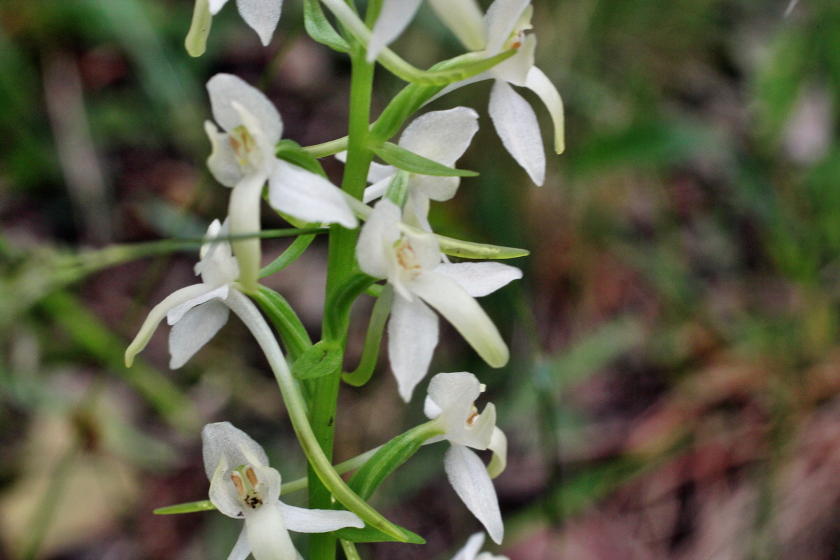 2014_06_11_00045896p_Bildgr��e �ndern