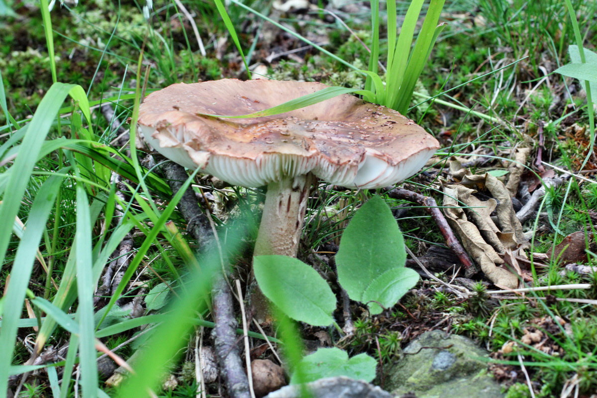 2014_06_11_00045904p_Bildgr��e �ndern