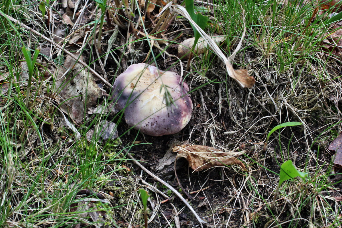 2014_06_11_00045921p_Bildgr��e �ndern