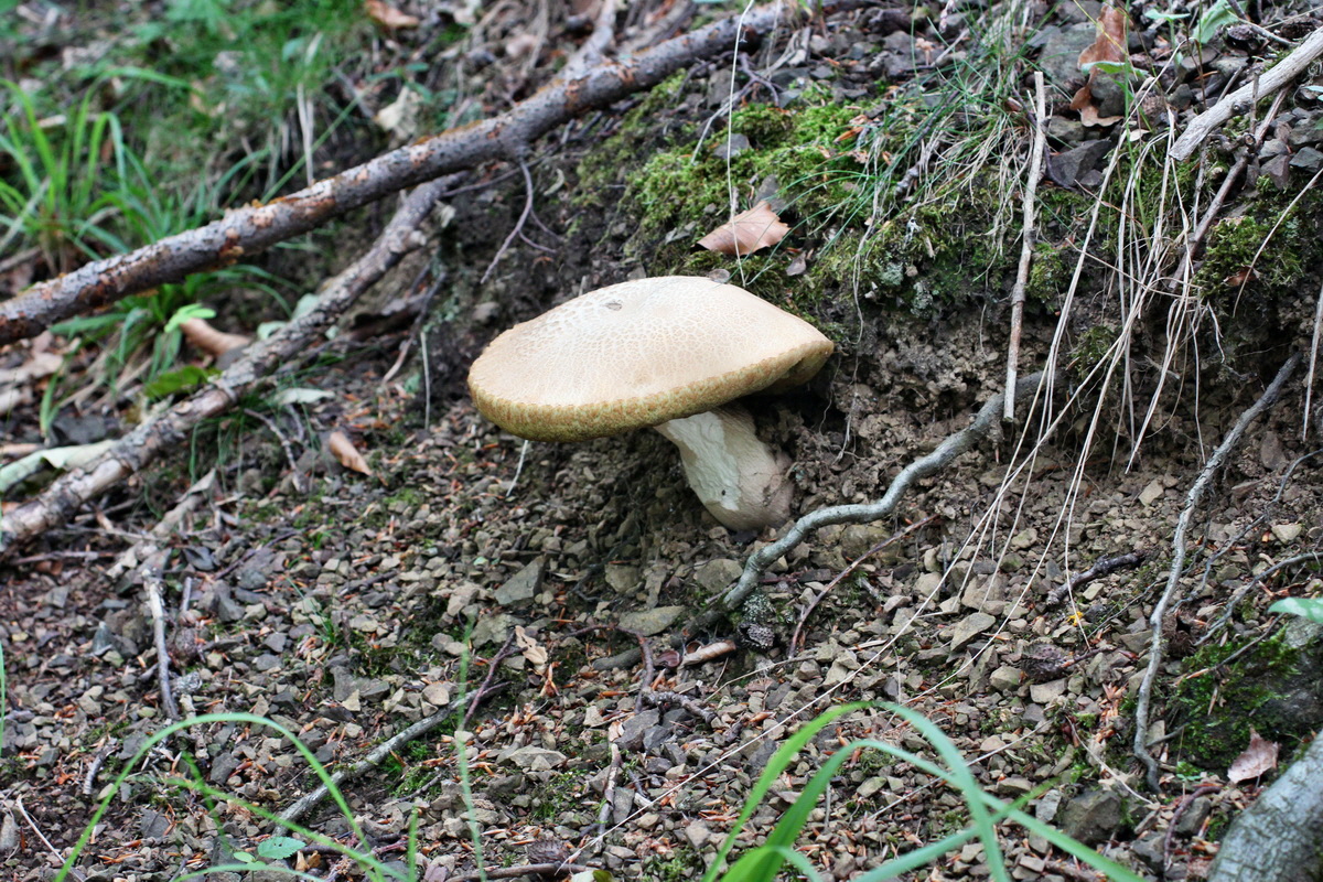 2014_06_11_00045933p_Bildgr��e �ndern