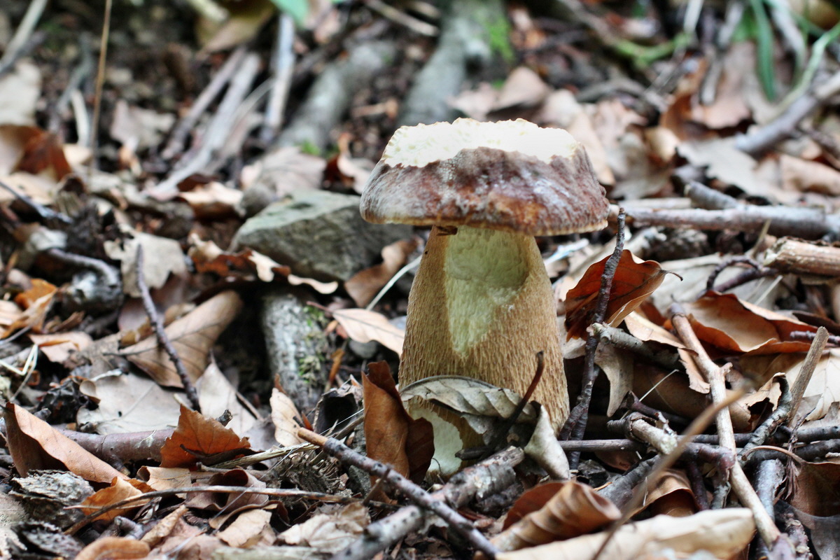 2014_06_11_00045948p_Bildgr��e �ndern