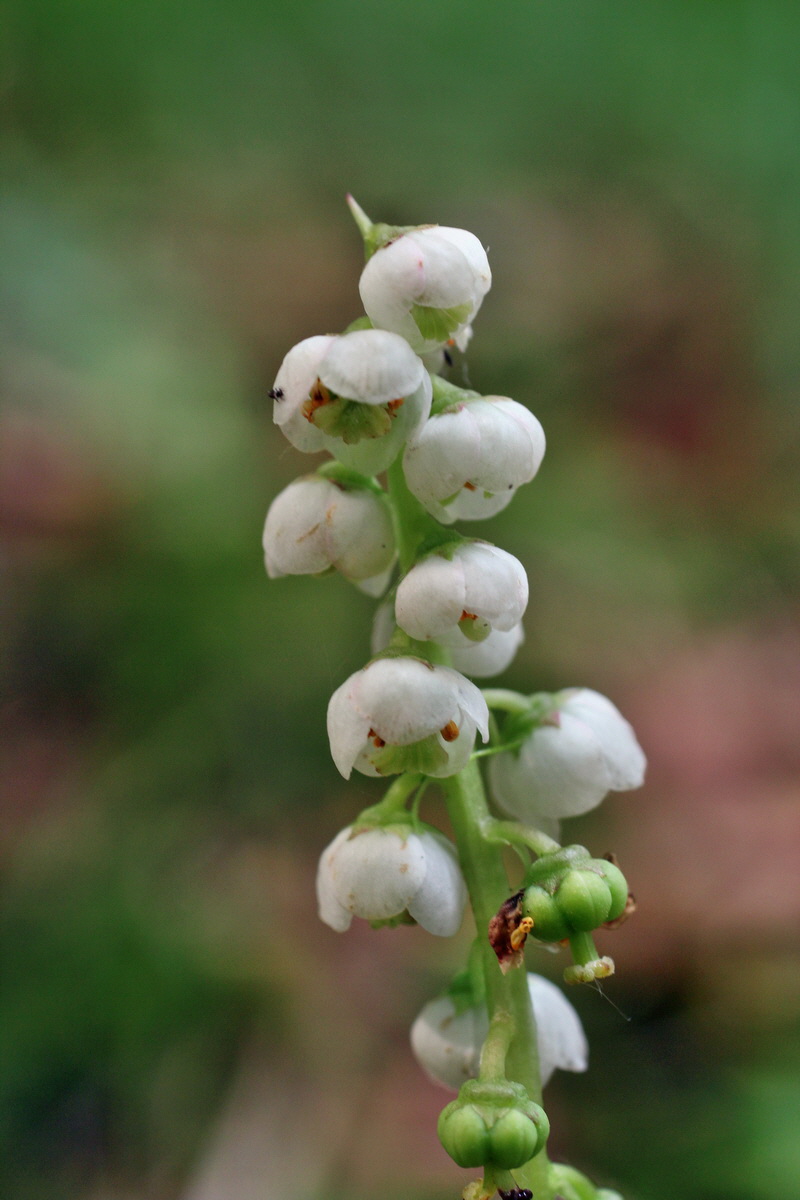 2014_06_11_00045963p_Bildgr��e �ndern