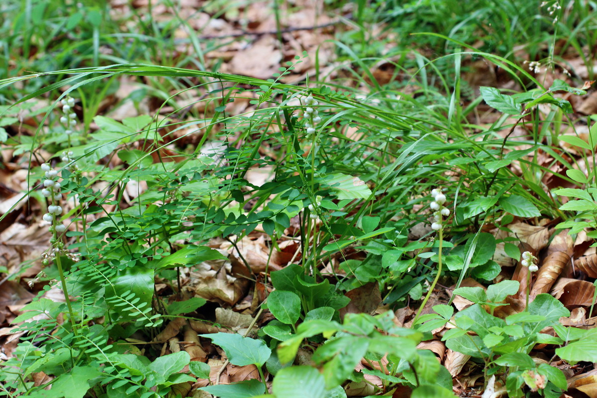 2014_06_11_00045971p_Bildgr��e �ndern