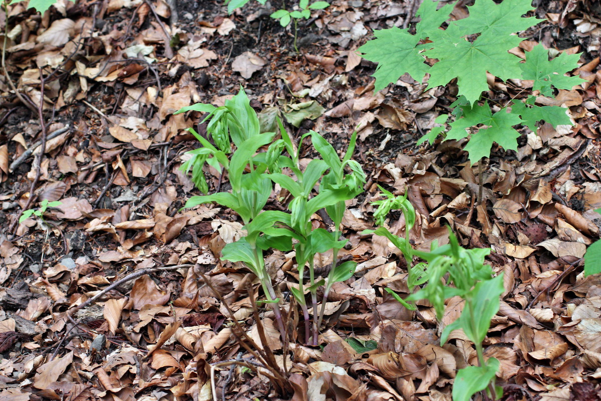 2014_06_11_00045986p_Bildgr��e �ndern