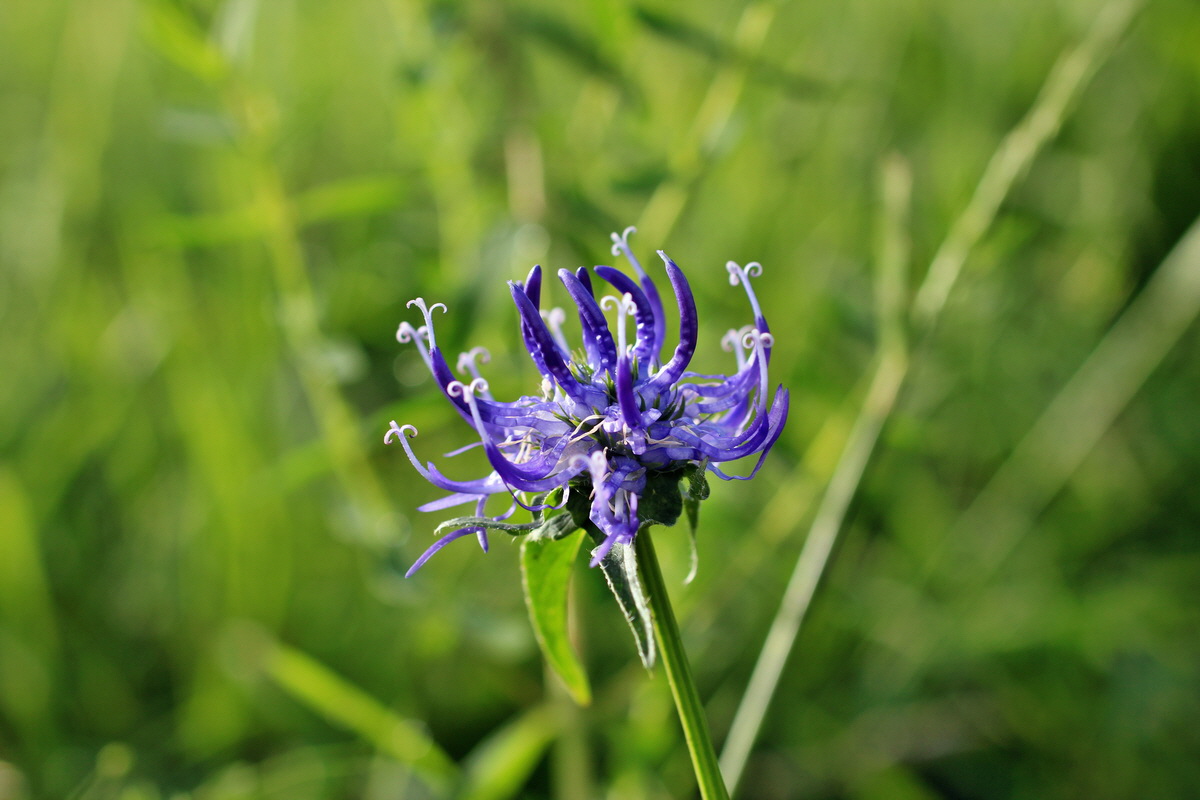 2014_06_13_00045990p_Bildgr��e �ndern