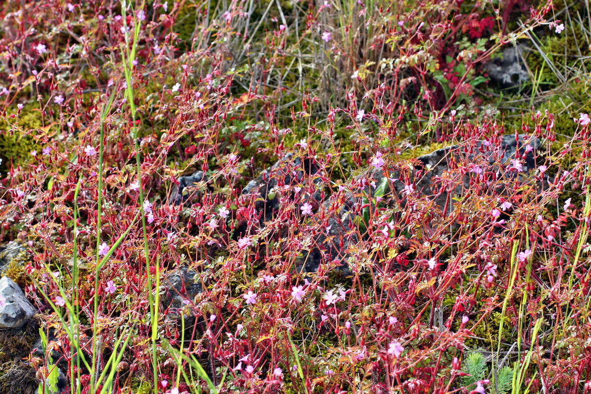 2014_06_13_00045992p_Bildgr��e �ndern