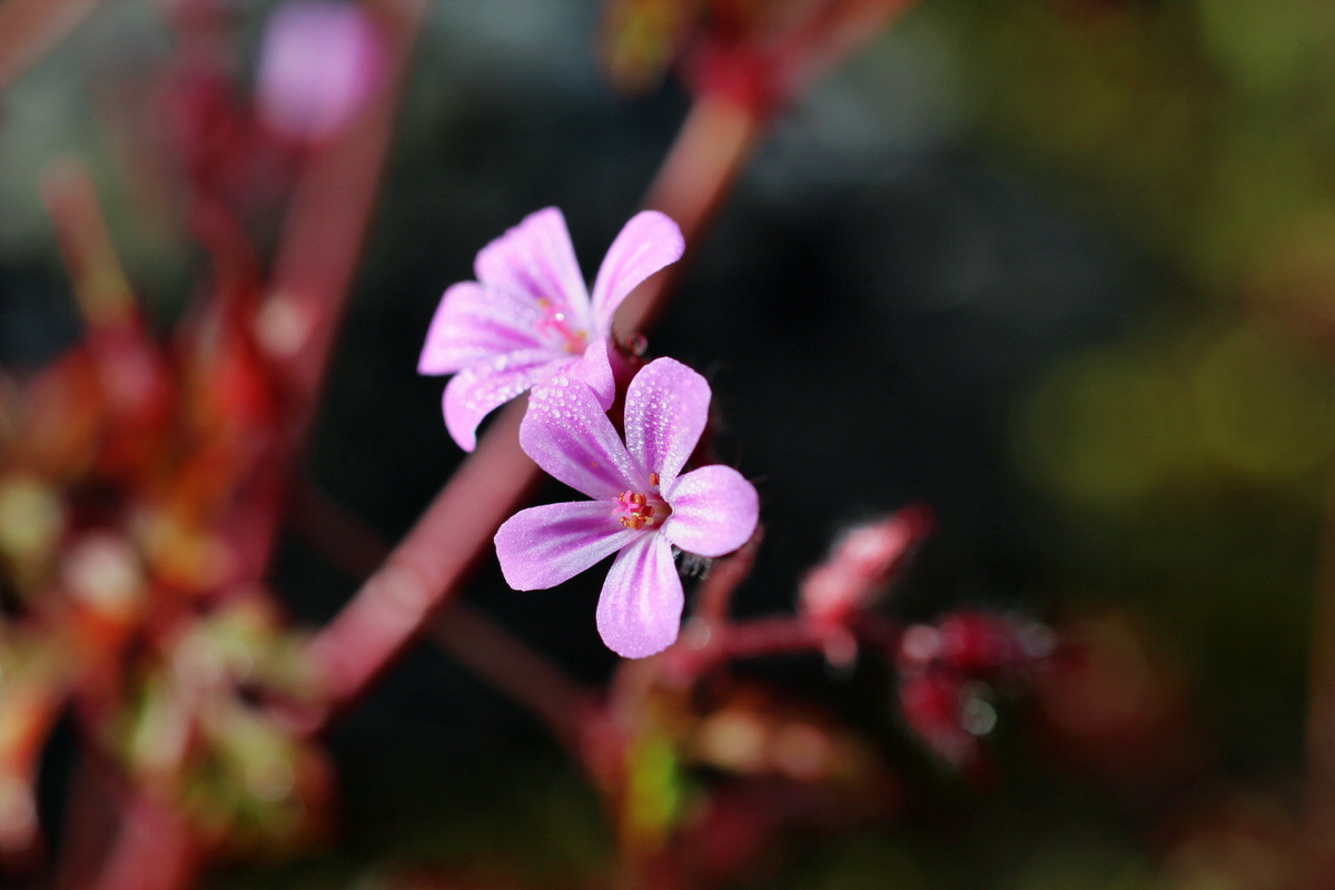 2014_06_13_00045994p_Bildgr��e �ndern