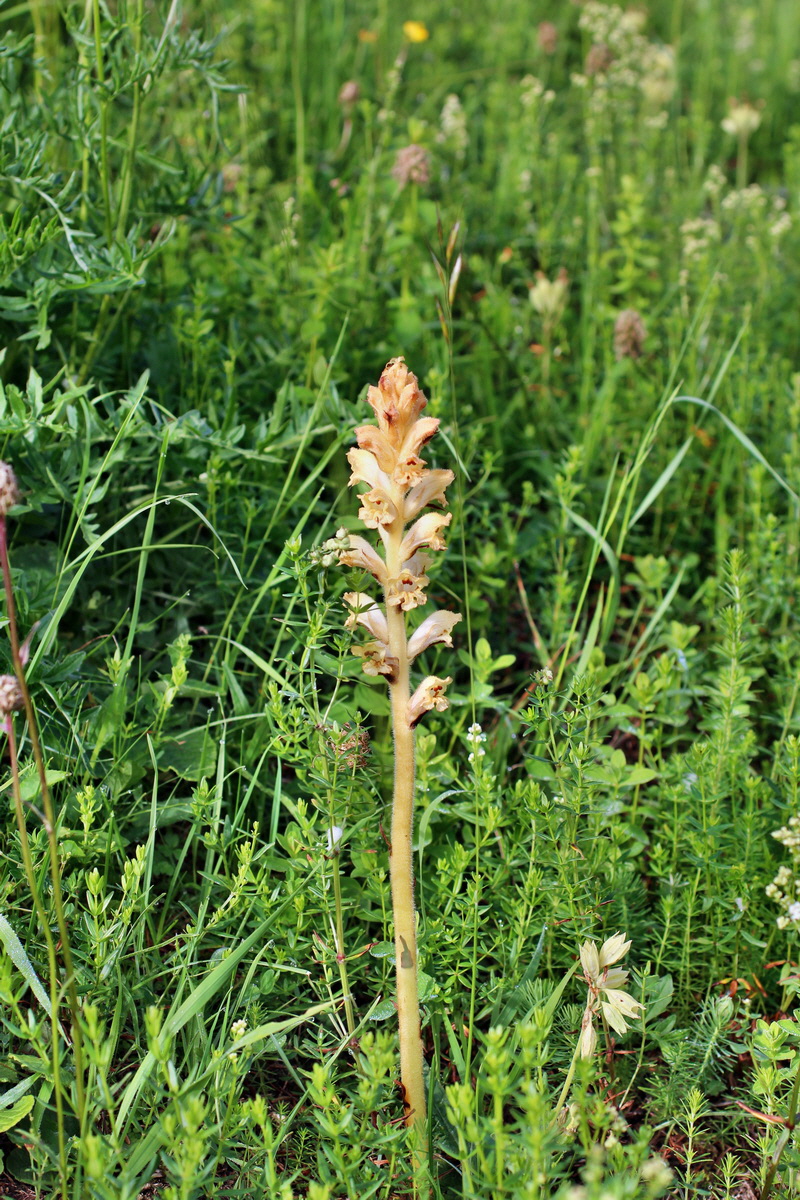 2014_06_13_00045998p_Bildgr��e �ndern