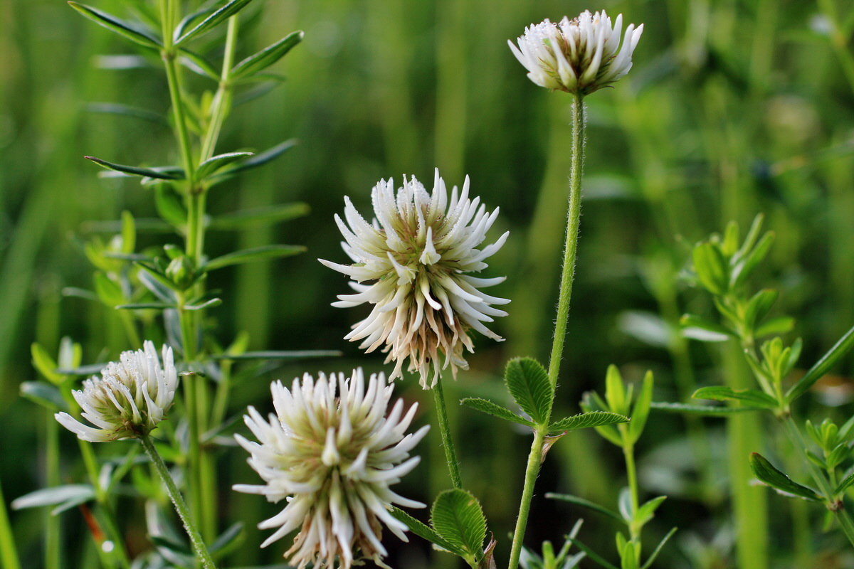 2014_06_13_00046007p_Bildgr��e �ndern