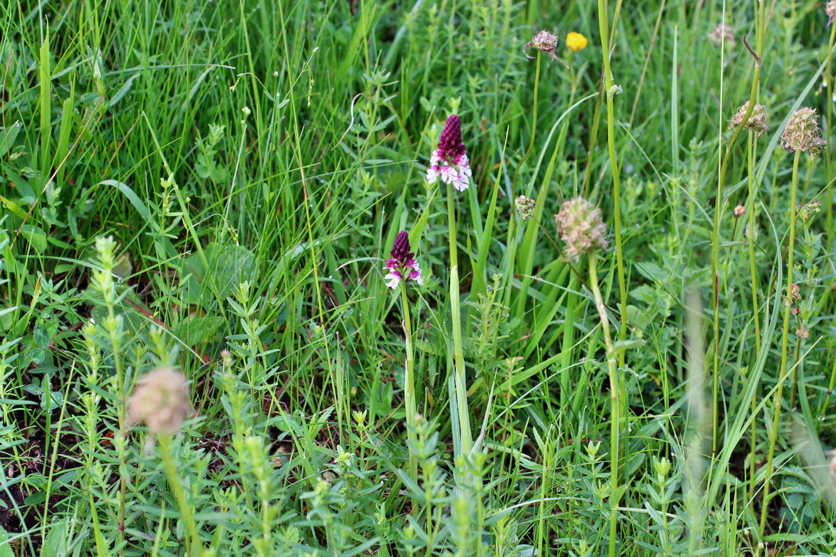 2014_06_13_00046013p_Bildgr��e �ndern