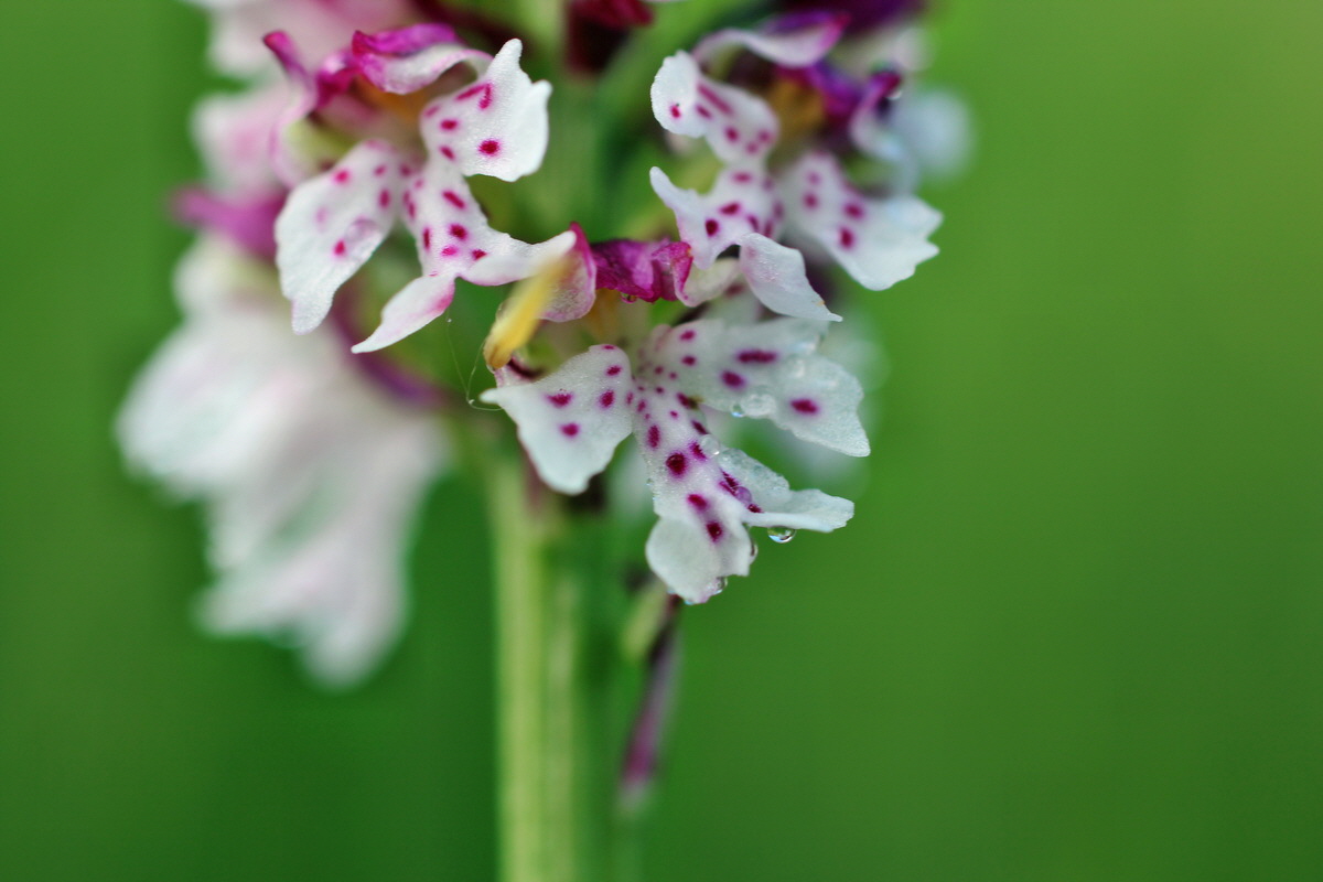 2014_06_13_00046019p_Bildgr��e �ndern