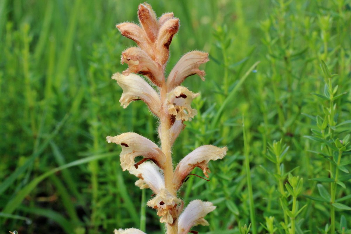 2014_06_13_00046038p_Bildgr��e �ndern