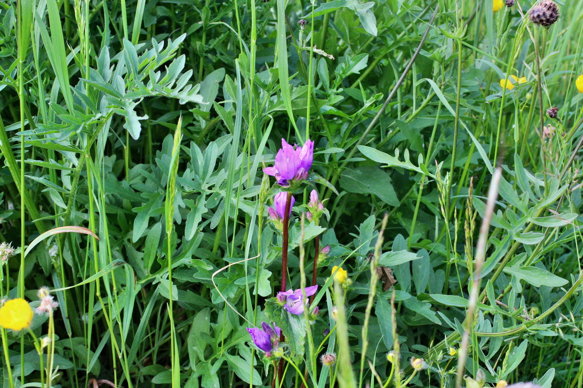 2014_06_13_00046044p_Bildgr��e �ndern