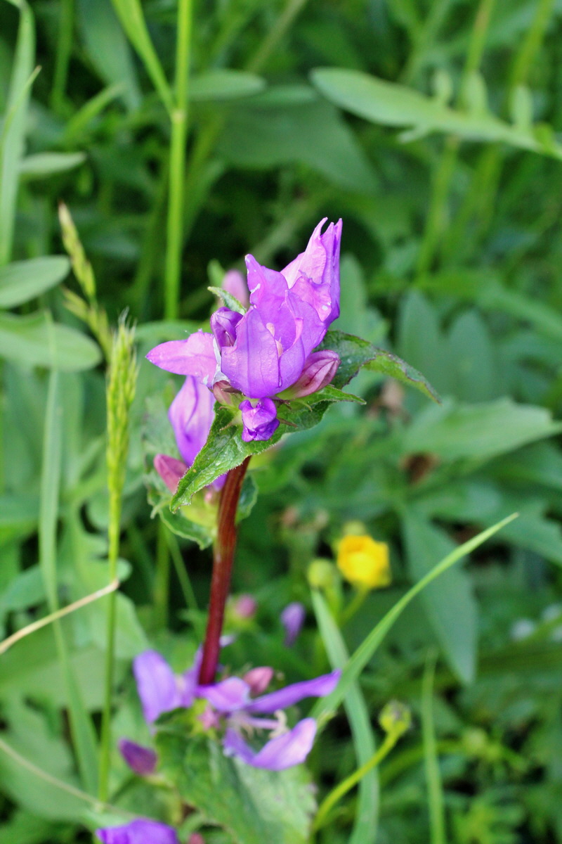 2014_06_13_00046051p_Bildgr��e �ndern