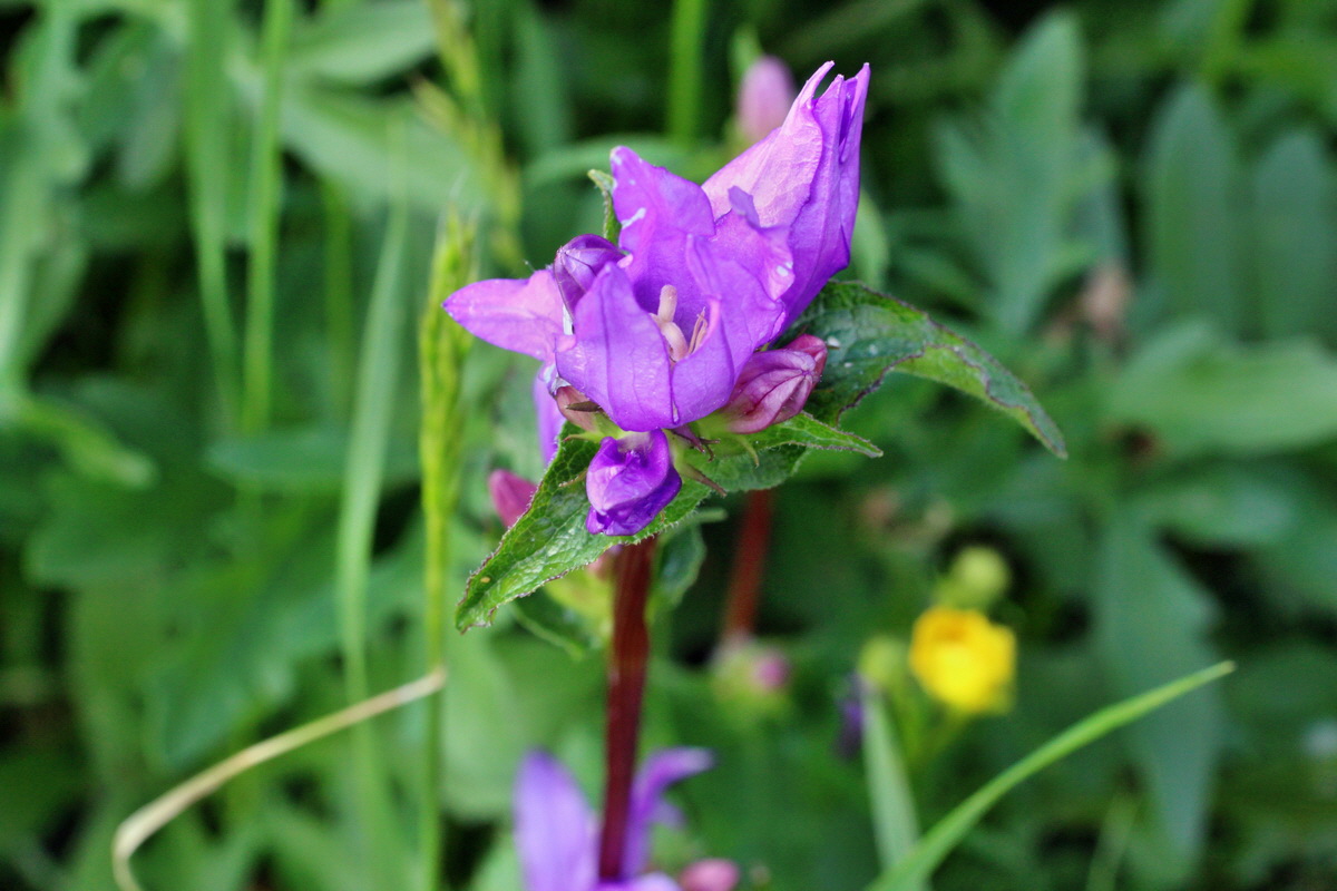 2014_06_13_00046056p_Bildgr��e �ndern