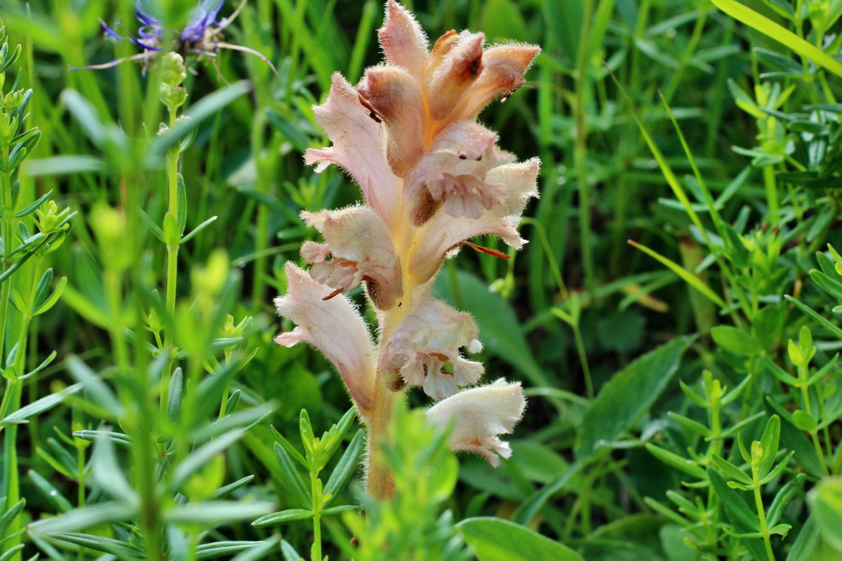 2014_06_13_00046061p_Bildgr��e �ndern